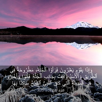 Picture 03 - اَلْمُلُوكِ ٱلْأَوَّلُ 13:25 AVD - وَإِذَا بِقَوْمٍ - Bible Verse Picture
