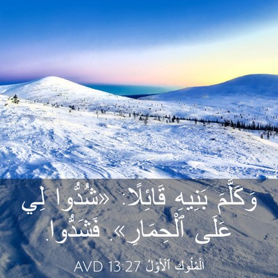 Picture 03 - اَلْمُلُوكِ ٱلْأَوَّلُ 13:27 AVD - وَكَلَّمَ بَنِيهِ - Bible Verse Picture