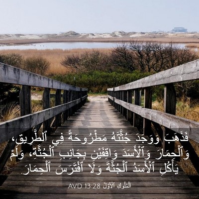 Picture 03 - اَلْمُلُوكِ ٱلْأَوَّلُ 13:28 AVD - فَذَهَبَ وَوَجَدَ - Bible Verse Picture