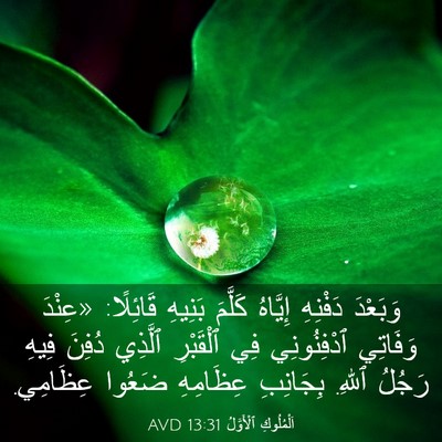 Picture 03 - اَلْمُلُوكِ ٱلْأَوَّلُ 13:31 AVD - وَبَعْدَ دَفْنِهِ - Bible Verse Picture