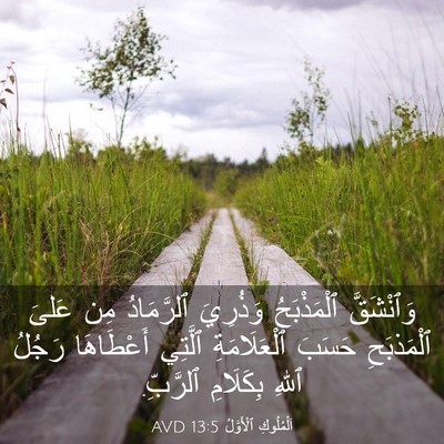 Picture 03 - اَلْمُلُوكِ ٱلْأَوَّلُ 13:5 AVD - وَٱنْشَقَّ ٱلْمَذْبَحُ - Bible Verse Picture