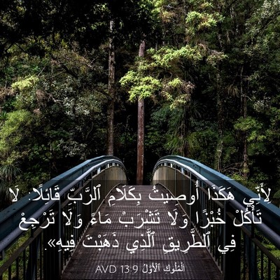 Picture 03 - اَلْمُلُوكِ ٱلْأَوَّلُ 13:9 AVD - لِأَنِّي هَكَذَا أُوصِيتُ - Bible Verse Picture