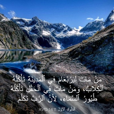 Picture 03 - اَلْمُلُوكِ ٱلْأَوَّلُ 14:11 AVD - مَنْ مَاتَ لِيَرُبْعَامَ - Bible Verse Picture