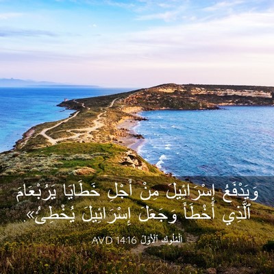 Picture 03 - اَلْمُلُوكِ ٱلْأَوَّلُ 14:16 AVD - وَيَدْفَعُ إِسْرَائِيلَ - Bible Verse Picture