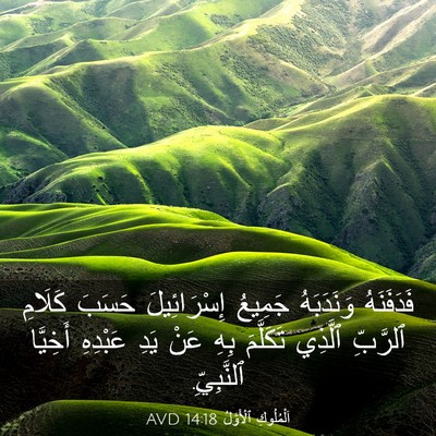 Picture 03 - اَلْمُلُوكِ ٱلْأَوَّلُ 14:18 AVD - فَدَفَنَهُ وَنَدَبَهُ - Bible Verse Picture