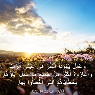 Picture 03 - اَلْمُلُوكِ ٱلْأَوَّلُ 14:22 AVD - وَعَمِلَ يَهُوذَا - Bible Verse Picture