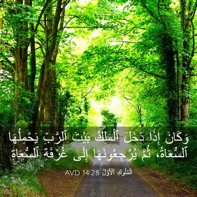Picture 03 - اَلْمُلُوكِ ٱلْأَوَّلُ 14:28 AVD - وَكَانَ إِذَا دَخَلَ - Bible Verse Picture
