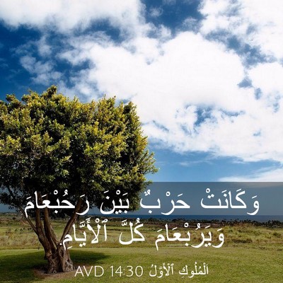Picture 03 - اَلْمُلُوكِ ٱلْأَوَّلُ 14:30 AVD - وَكَانَتْ حَرْبٌ بَيْنَ - Bible Verse Picture