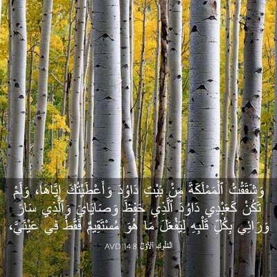 Picture 03 - اَلْمُلُوكِ ٱلْأَوَّلُ 14:8 AVD - وَشَقَقْتُ ٱلْمَمْلَكَةَ - Bible Verse Picture