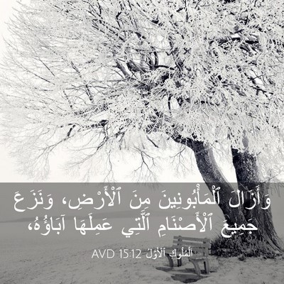 Picture 03 - اَلْمُلُوكِ ٱلْأَوَّلُ 15:12 AVD - وَأَزَالَ ٱلْمَأْبُونِينَ - Bible Verse Picture