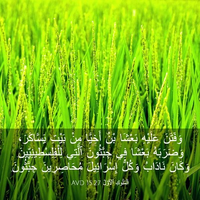 Picture 03 - اَلْمُلُوكِ ٱلْأَوَّلُ 15:27 AVD - وَفَتَنَ عَلَيْهِ بَعْشَا - Bible Verse Picture