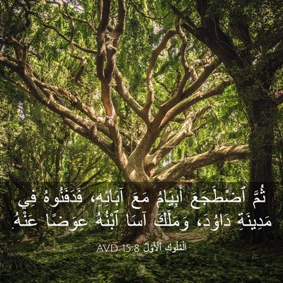 Picture 03 - اَلْمُلُوكِ ٱلْأَوَّلُ 15:8 AVD - ثُمَّ ٱضْطَجَعَ أَبِيَامُ - Bible Verse Picture