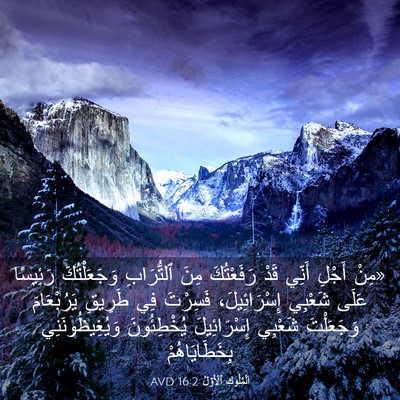 Picture 03 - اَلْمُلُوكِ ٱلْأَوَّلُ 16:2 AVD - «مِنْ أَجْلِ أَنِّي قَدْ - Bible Verse Picture