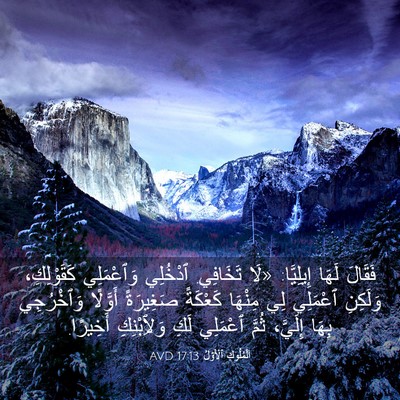 Picture 03 - اَلْمُلُوكِ ٱلْأَوَّلُ 17:13 AVD - فَقَالَ لَهَا إِيلِيَّا: - Bible Verse Picture