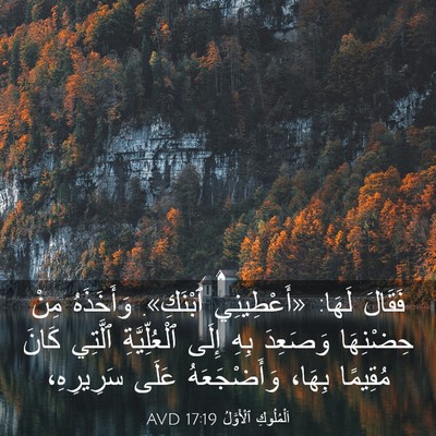 Picture 03 - اَلْمُلُوكِ ٱلْأَوَّلُ 17:19 AVD - فَقَالَ لَهَا: «أَعْطِينِي - Bible Verse Picture