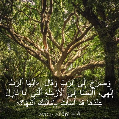 Picture 03 - اَلْمُلُوكِ ٱلْأَوَّلُ 17:20 AVD - وَصَرَخَ إِلَى ٱلرَّبِّ - Bible Verse Picture