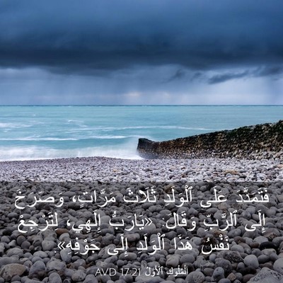 Picture 03 - اَلْمُلُوكِ ٱلْأَوَّلُ 17:21 AVD - فَتَمَدَّدَ عَلَى - Bible Verse Picture