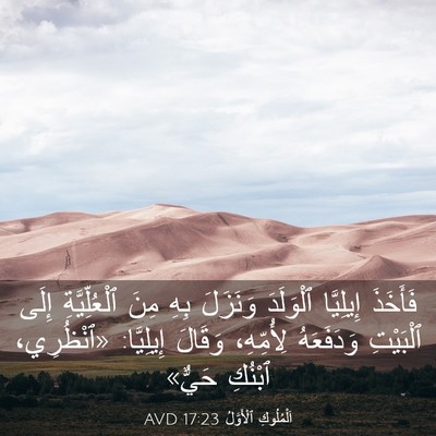 Picture 03 - اَلْمُلُوكِ ٱلْأَوَّلُ 17:23 AVD - فَأَخَذَ إِيلِيَّا - Bible Verse Picture