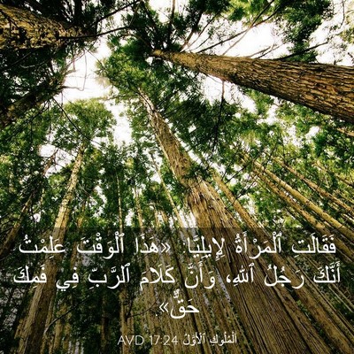 Picture 03 - اَلْمُلُوكِ ٱلْأَوَّلُ 17:24 AVD - فَقَالَتِ ٱلْمَرْأَةُ - Bible Verse Picture