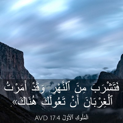 Picture 03 - اَلْمُلُوكِ ٱلْأَوَّلُ 17:4 AVD - فَتَشْرَبَ مِنَ ٱلنَّهْرِ. - Bible Verse Picture