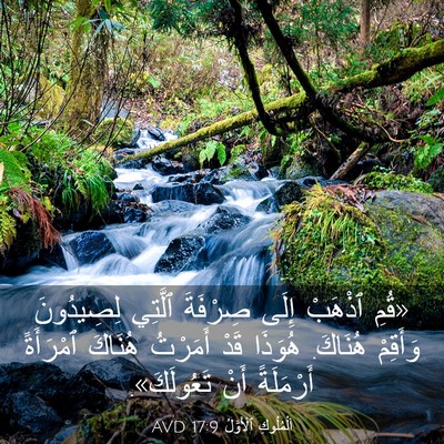 Picture 03 - اَلْمُلُوكِ ٱلْأَوَّلُ 17:9 AVD - «قُمِ ٱذْهَبْ إِلَى - Bible Verse Picture