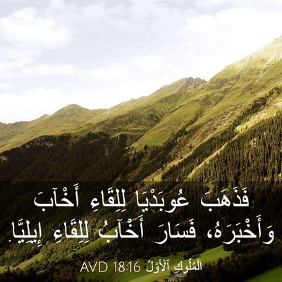 Picture 03 - اَلْمُلُوكِ ٱلْأَوَّلُ 18:16 AVD - فَذَهَبَ عُوبَدْيَا - Bible Verse Picture