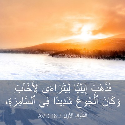 Picture 03 - اَلْمُلُوكِ ٱلْأَوَّلُ 18:2 AVD - فَذَهَبَ إِيلِيَّا - Bible Verse Picture