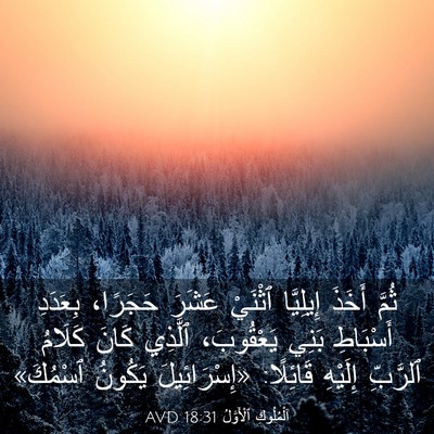 Picture 03 - اَلْمُلُوكِ ٱلْأَوَّلُ 18:31 AVD - ثُمَّ أَخَذَ إِيلِيَّا - Bible Verse Picture