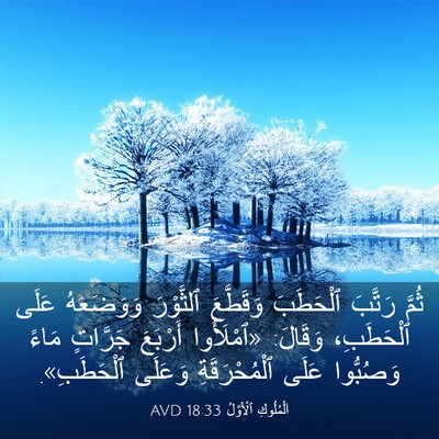 Picture 03 - اَلْمُلُوكِ ٱلْأَوَّلُ 18:33 AVD - ثُمَّ رَتَّبَ ٱلْحَطَبَ - Bible Verse Picture