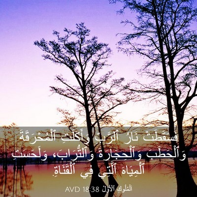 Picture 03 - اَلْمُلُوكِ ٱلْأَوَّلُ 18:38 AVD - فَسَقَطَتْ نَارُ ٱلرَّبِّ - Bible Verse Picture