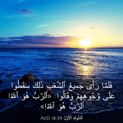 Picture 03 - اَلْمُلُوكِ ٱلْأَوَّلُ 18:39 AVD - فَلَمَّا رَأَى جَمِيعُ - Bible Verse Picture