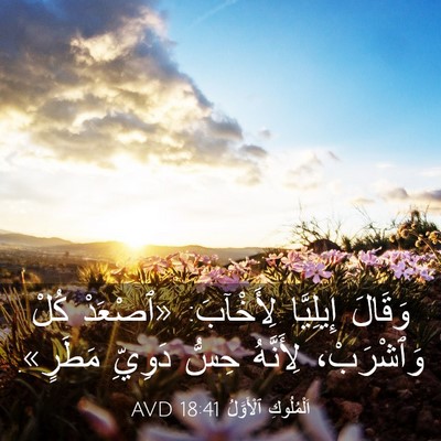 Picture 03 - اَلْمُلُوكِ ٱلْأَوَّلُ 18:41 AVD - وَقَالَ إِيلِيَّا - Bible Verse Picture