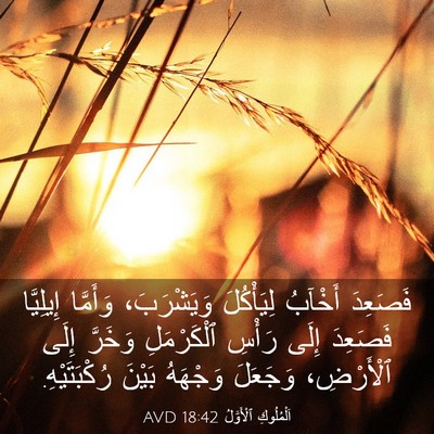 Picture 03 - اَلْمُلُوكِ ٱلْأَوَّلُ 18:42 AVD - فَصَعِدَ أَخْآبُ - Bible Verse Picture