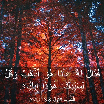 Picture 03 - اَلْمُلُوكِ ٱلْأَوَّلُ 18:8 AVD - فَقَالَ لَهُ: «أَنَا هُوَ. - Bible Verse Picture