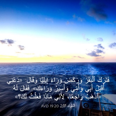 Picture 03 - اَلْمُلُوكِ ٱلْأَوَّلُ 19:20 AVD - فَتَرَكَ ٱلْبَقَرَ - Bible Verse Picture