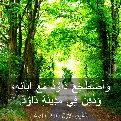 Picture 03 - اَلْمُلُوكِ ٱلْأَوَّلُ 2:10 AVD - وَٱضْطَجَعَ دَاوُدُ مَعَ - Bible Verse Picture