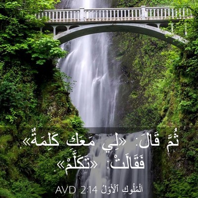 Picture 03 - اَلْمُلُوكِ ٱلْأَوَّلُ 2:14 AVD - ثُمَّ قَالَ: «لِي مَعَكِ - Bible Verse Picture