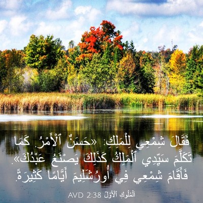 Picture 03 - اَلْمُلُوكِ ٱلْأَوَّلُ 2:38 AVD - فَقَالَ شِمْعِي - Bible Verse Picture