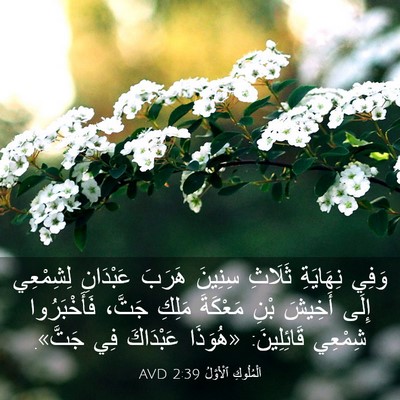 Picture 03 - اَلْمُلُوكِ ٱلْأَوَّلُ 2:39 AVD - وَفِي نِهَايَةِ ثَلَاثِ - Bible Verse Picture