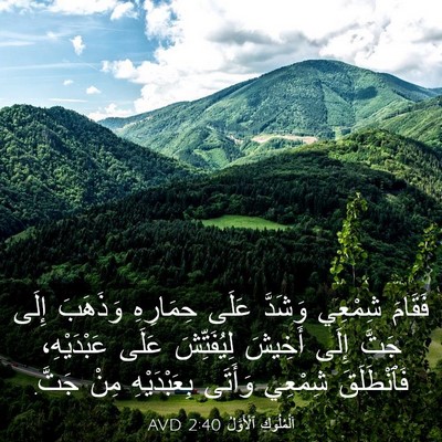 Picture 03 - اَلْمُلُوكِ ٱلْأَوَّلُ 2:40 AVD - فَقَامَ شِمْعِي وَشَدَّ - Bible Verse Picture
