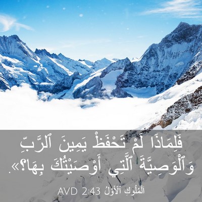 Picture 03 - اَلْمُلُوكِ ٱلْأَوَّلُ 2:43 AVD - فَلِمَاذَا لَمْ تَحْفَظْ - Bible Verse Picture