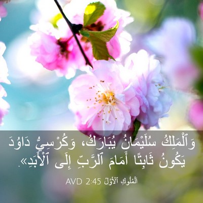 Picture 03 - اَلْمُلُوكِ ٱلْأَوَّلُ 2:45 AVD - وَٱلْمَلِكُ سُلَيْمَانُ - Bible Verse Picture