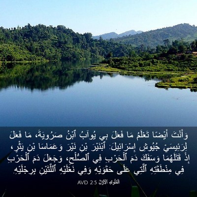 Picture 03 - اَلْمُلُوكِ ٱلْأَوَّلُ 2:5 AVD - وَأَنْتَ أَيْضًا تَعْلَمُ - Bible Verse Picture
