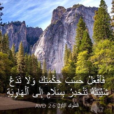 Picture 03 - اَلْمُلُوكِ ٱلْأَوَّلُ 2:6 AVD - فَٱفْعَلْ حَسَبَ - Bible Verse Picture