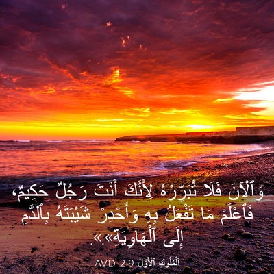 Picture 03 - اَلْمُلُوكِ ٱلْأَوَّلُ 2:9 AVD - وَٱلْآنَ فَلَا - Bible Verse Picture