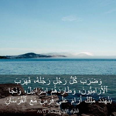 Picture 03 - اَلْمُلُوكِ ٱلْأَوَّلُ 20:20 AVD - وَضَرَبَ كُلُّ رَجُلٍ - Bible Verse Picture
