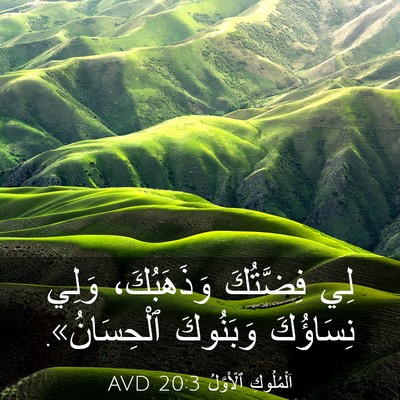 Picture 03 - اَلْمُلُوكِ ٱلْأَوَّلُ 20:3 AVD - لِي فِضَّتُكَ وَذَهَبُكَ، - Bible Verse Picture