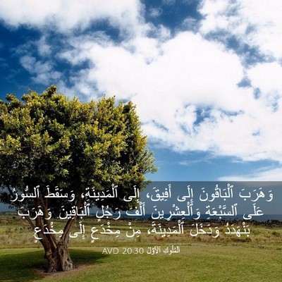 Picture 03 - اَلْمُلُوكِ ٱلْأَوَّلُ 20:30 AVD - وَهَرَبَ ٱلْبَاقُونَ - Bible Verse Picture
