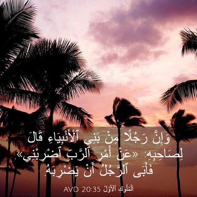 Picture 03 - اَلْمُلُوكِ ٱلْأَوَّلُ 20:35 AVD - وَإِنَّ رَجُلًا مِنْ بَنِي - Bible Verse Picture