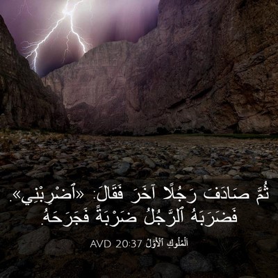 Picture 03 - اَلْمُلُوكِ ٱلْأَوَّلُ 20:37 AVD - ثُمَّ صَادَفَ رَجُلًا - Bible Verse Picture